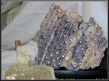 Foto: Dipl.-Min. Tilo Pönitz