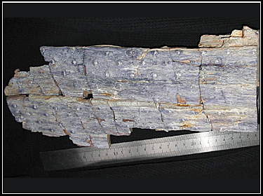 Foto: Dipl.-Min. Tilo Pönitz