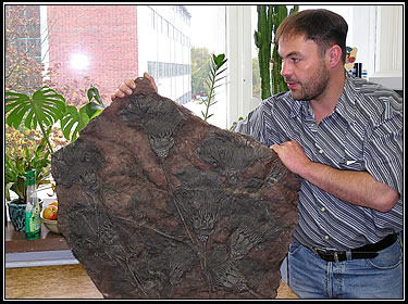 Foto: Dipl.-Geol. J. Steinbinder