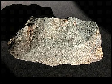 Foto: Dr.-Ing. W. Schwarz/Dresden